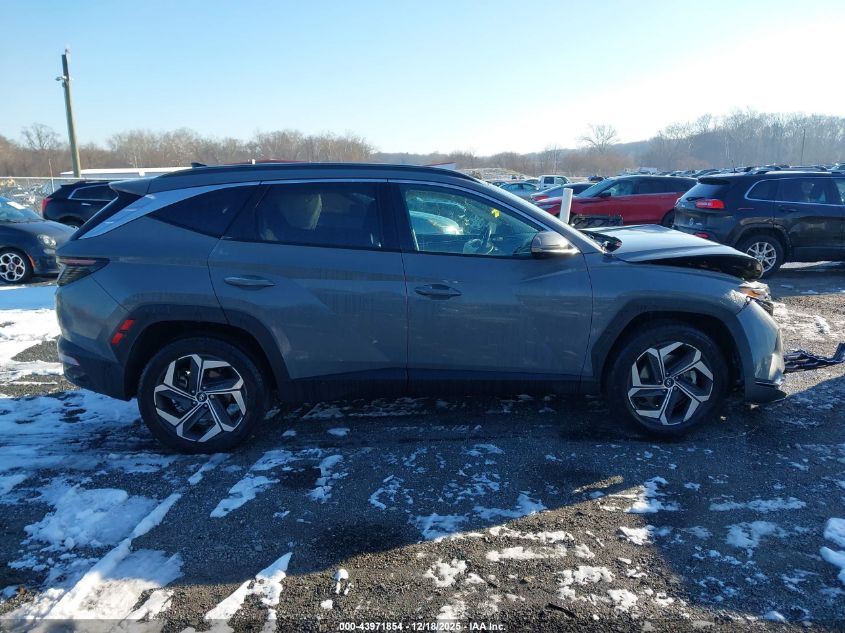 2024 Hyundai Tucson Limited VIN: 5NMJECDE4RH326524 Lot: 43971854