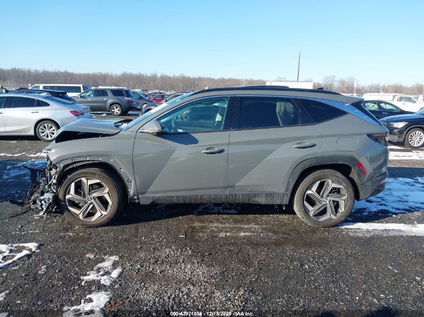 2024 Hyundai Tucson Limited VIN: 5NMJECDE4RH326524 Lot: 43971854