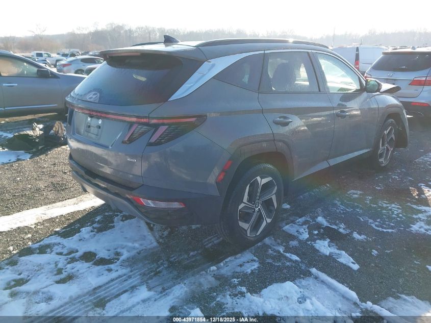 2024 Hyundai Tucson Limited VIN: 5NMJECDE4RH326524 Lot: 43971854