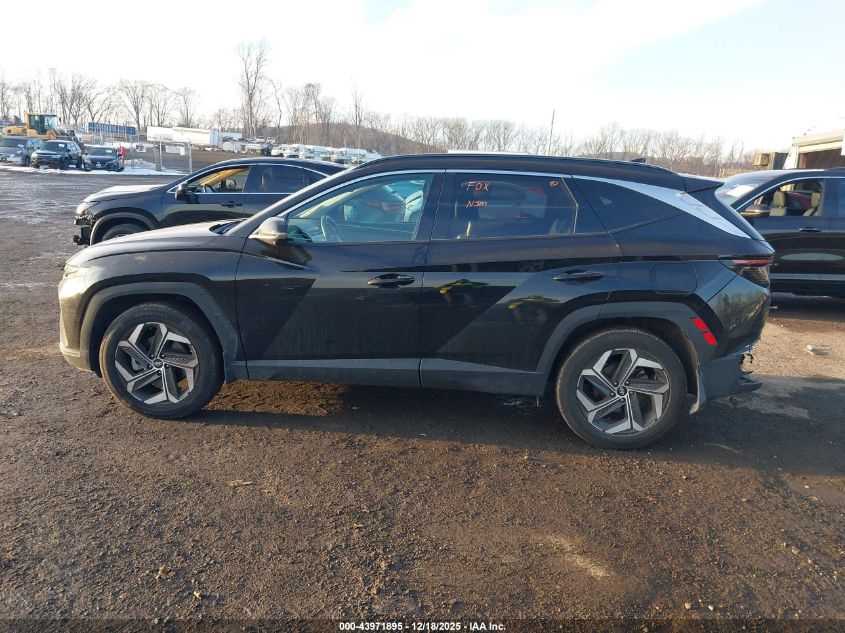2022 Hyundai Tucson Limited VIN: 5NMJECAE1NH125436 Lot: 43971895