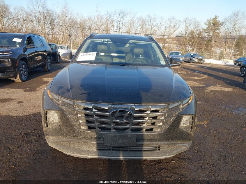 2022 Hyundai Tucson Limited VIN: 5NMJECAE1NH125436 Lot: 43971895