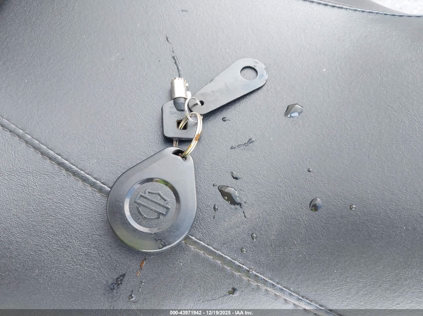 2021 Harley-Davidson Flhx VIN: 1HD1KBC16MB664228 Lot: 43971942