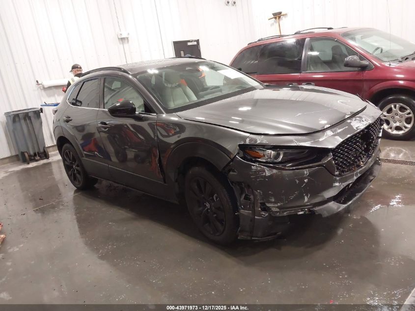 2025 Mazda Cx-30 2.5 Turbo Premium Plus Package VIN: 3MVDMBEY4SM769874 Lot: 43971973