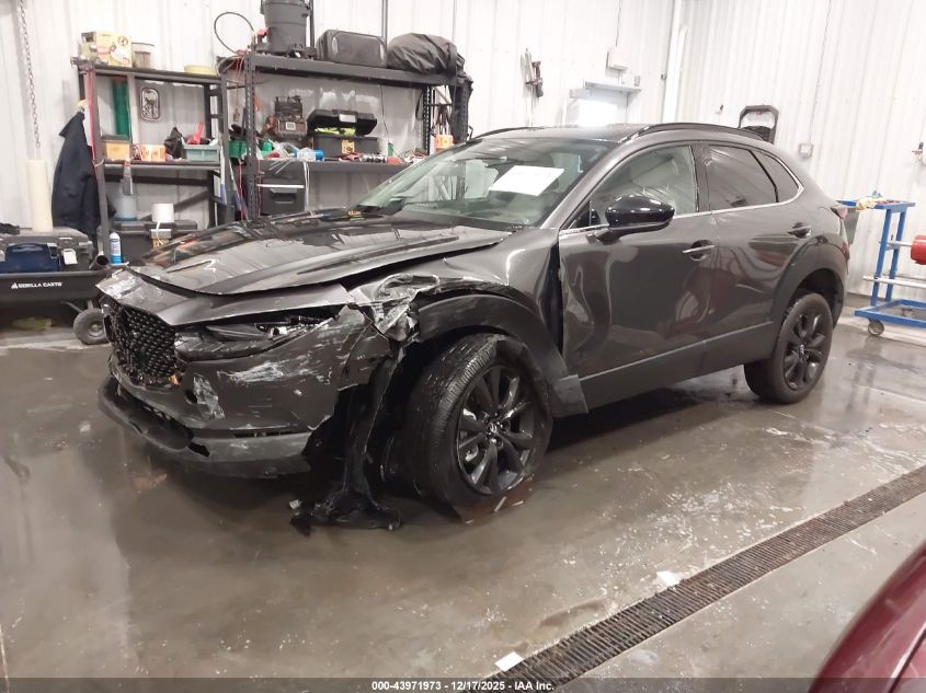 2025 Mazda Cx-30 2.5 Turbo Premium Plus Package VIN: 3MVDMBEY4SM769874 Lot: 43971973