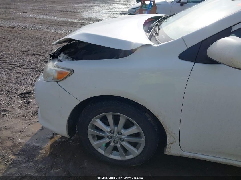 2009 Toyota Corolla Le VIN: JTDBL40E29J047850 Lot: 43972048