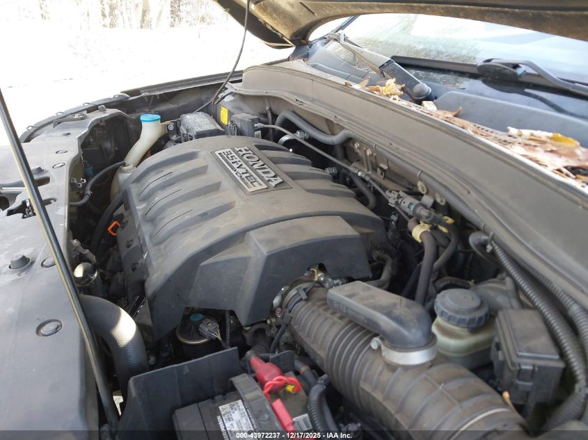 2007 Honda Pilot Ex-L VIN: 5FNYF28697B036156 Lot: 43972237