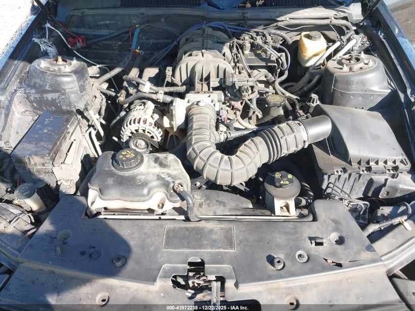 2007 Ford Mustang V6 Deluxe/V6 Premium VIN: 1ZVHT80N875356887 Lot: 43972238