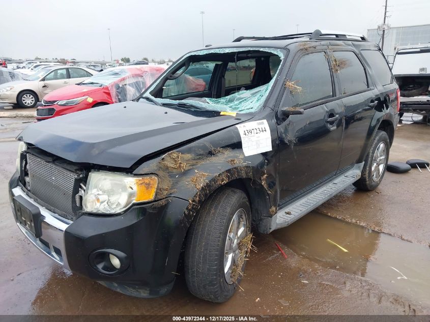 2010 Ford Escape Limited VIN: 1FMCU0EG7AKD10896 Lot: 43972344