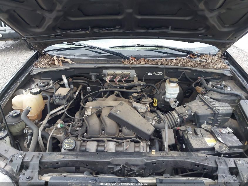 2006 Ford Escape Xlt/Xlt Sport VIN: 1FMCU031X6KB67416 Lot: 43972518