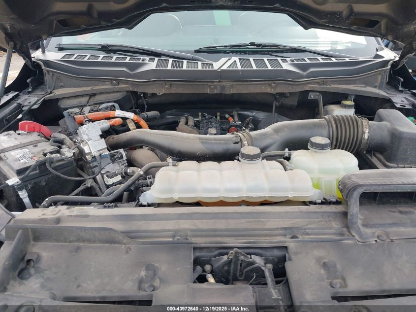 2024 Ford F-150 Xlt VIN: 1FTFW3LD6RFA25200 Lot: 43972640