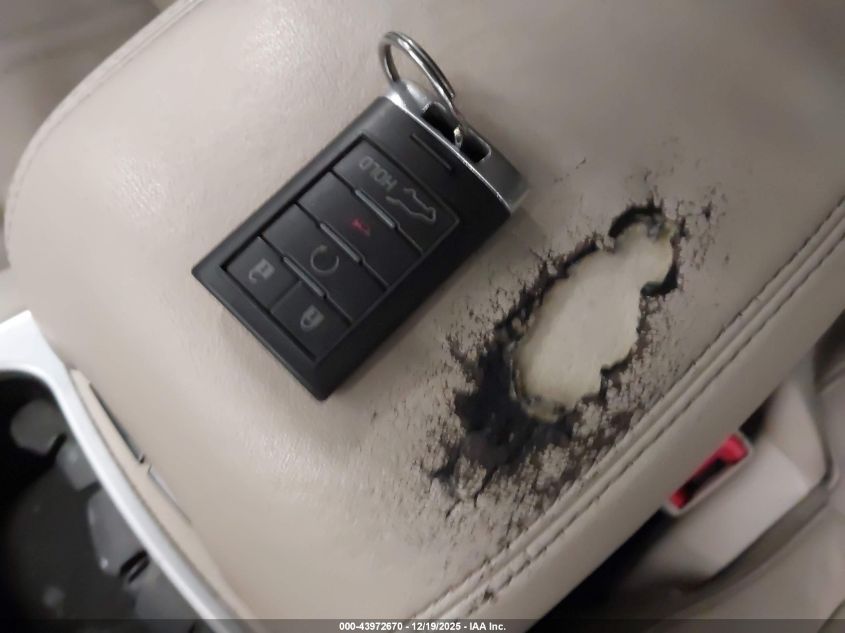 2010 Cadillac Srx Premium Collection VIN: 3GYFNFEYXAS508607 Lot: 43972670