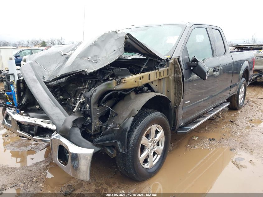 2016 Ford F-150 Xlt VIN: 1FTEX1EP8GFB24053 Lot: 43972827