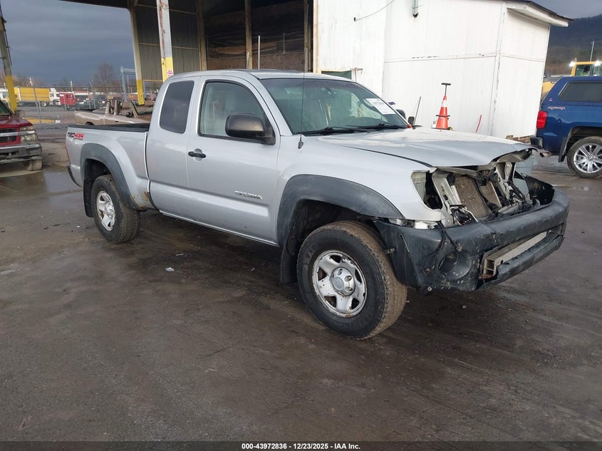 5TEUU42N86Z175644 2006 Toyota Tacoma Base V6 auction photo 1