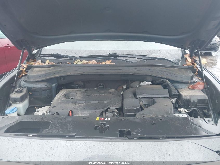 2020 Hyundai Santa Fe Sel VIN: 5NMS3CAD7LH203734 Lot: 43972844