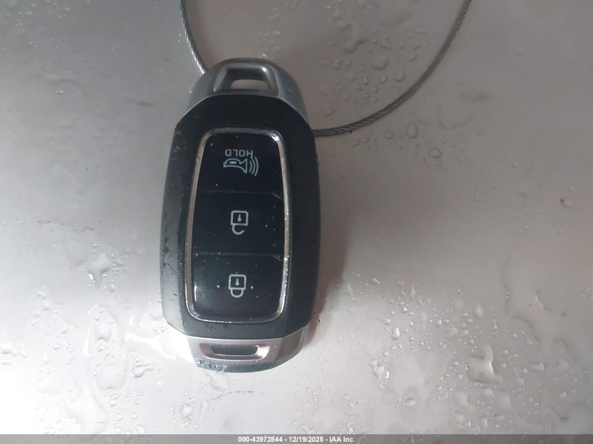 2020 Hyundai Santa Fe Sel VIN: 5NMS3CAD7LH203734 Lot: 43972844