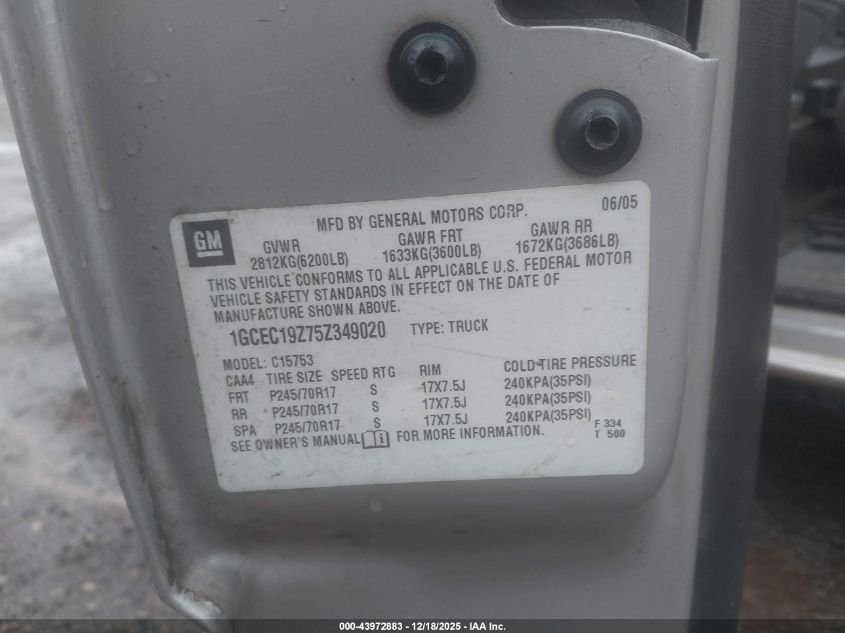 2005 Chevrolet Silverado 1500 Ls VIN: 1GCEC19Z75Z349020 Lot: 43972883