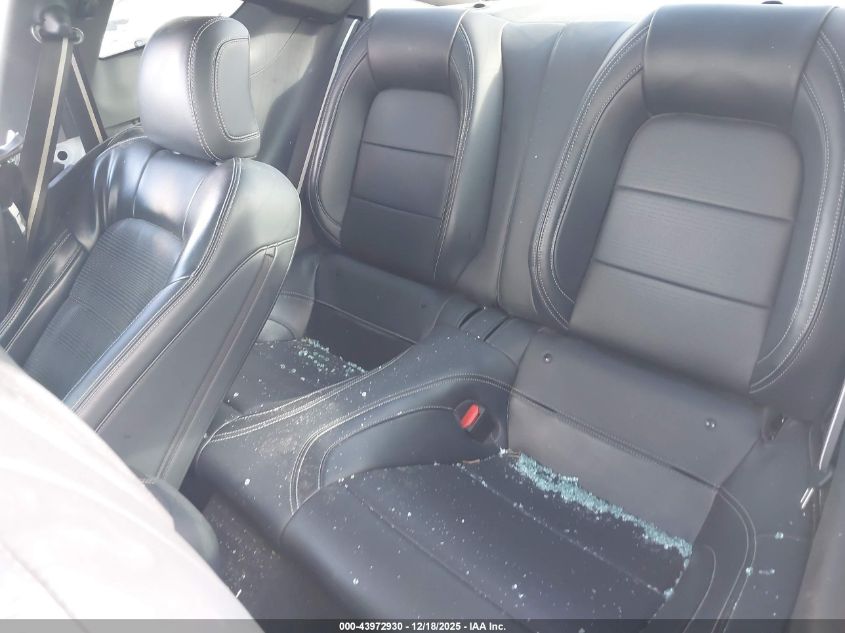 2024 Ford Mustang Gt Premium Fastback VIN: 1FA6P8CFXR5412159 Lot: 43972930