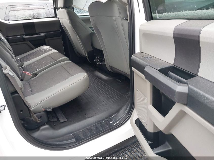 2019 Ford F-150 Xl VIN: 1FTFW1E55KKD31179 Lot: 43972964