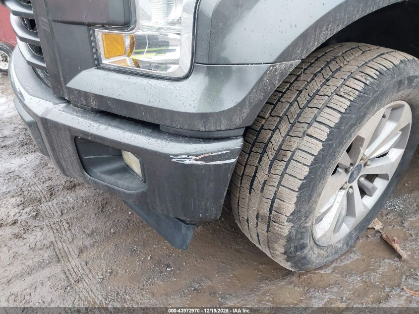 2017 Ford F-150 Xl VIN: 1FTEW1CP4HFC77679 Lot: 43972970