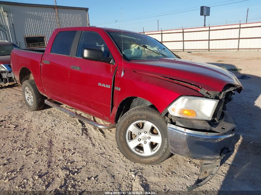 2009 Dodge Ram 1500 Slt/Sport/Trx VIN: 1D3HV13T19S725695 Lot: 43973174