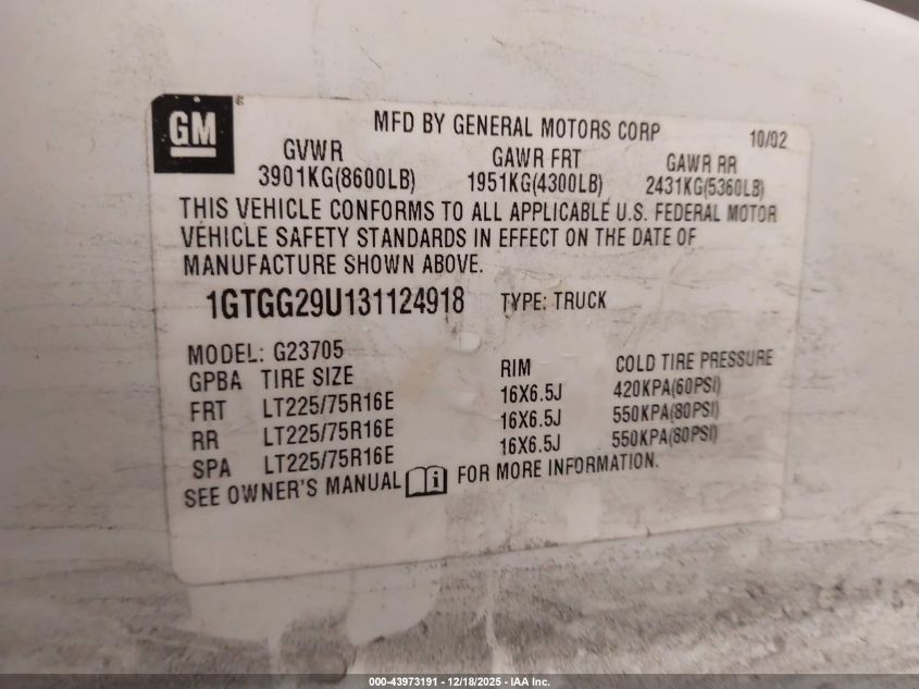 2003 GMC Savana Standard VIN: 1GTGG29U131124918 Lot: 43973191