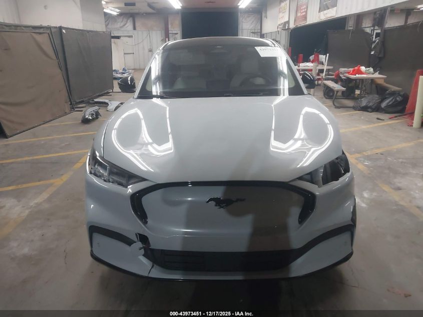 2023 Ford Mustang Mach-E Premium VIN: 3FMTK3R47PMA99045 Lot: 43973451
