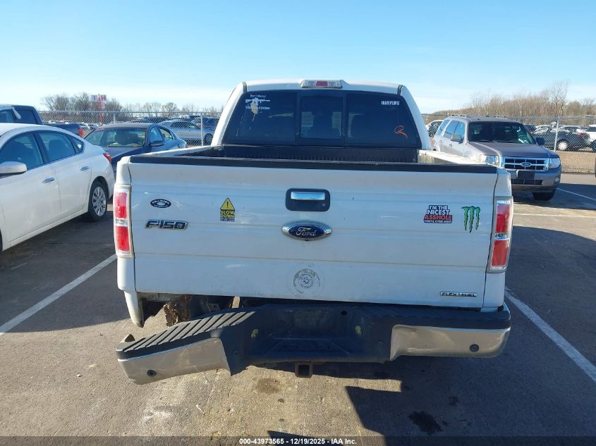 2013 Ford F-150 Xlt VIN: 1FTFW1CF4DFD37885 Lot: 43973565