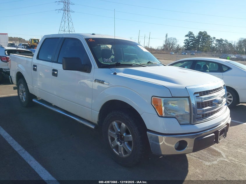 2013 FORD F-150 XLT