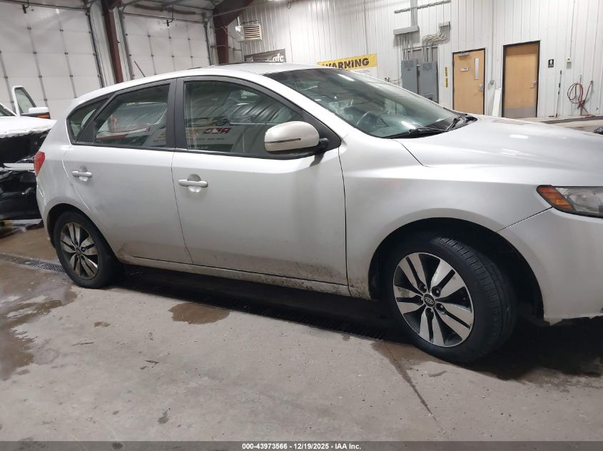 2013 Kia Forte Ex VIN: KNAFU5A23D5681885 Lot: 43973566