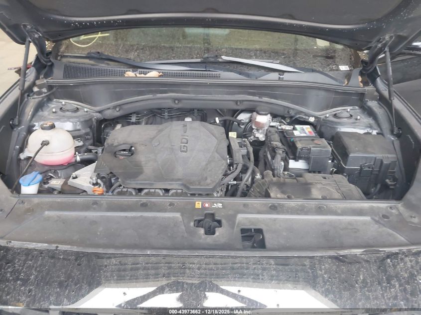 2022 Hyundai Santa Fe Sel VIN: 5NMS24AJ4NH477197 Lot: 43973662