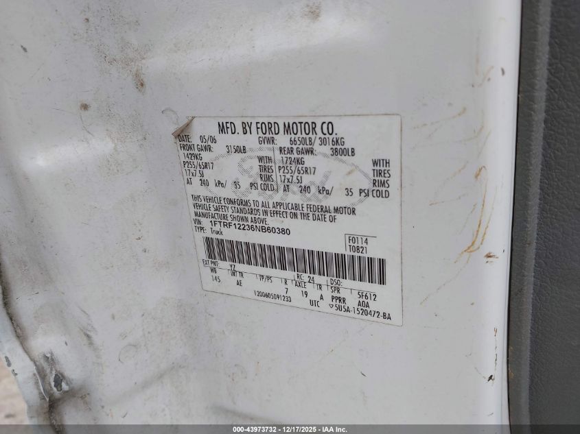 2006 Ford F-150 Stx/Xl/Xlt VIN: 1FTRF12236NB60380 Lot: 43973732