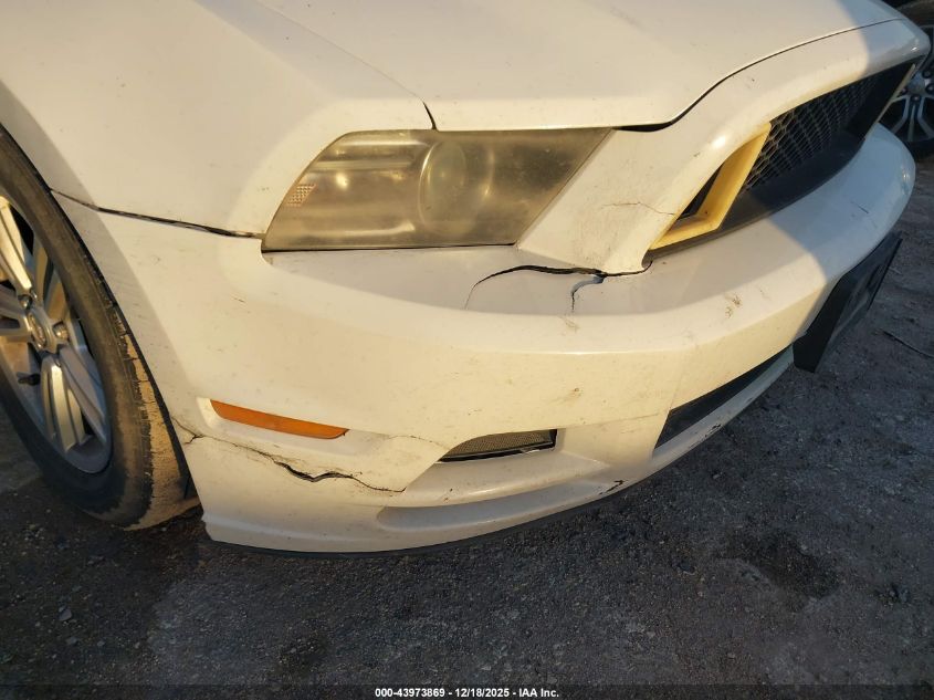 2014 Ford Mustang V6 VIN: 1ZVBP8EM8E5213381 Lot: 43973869