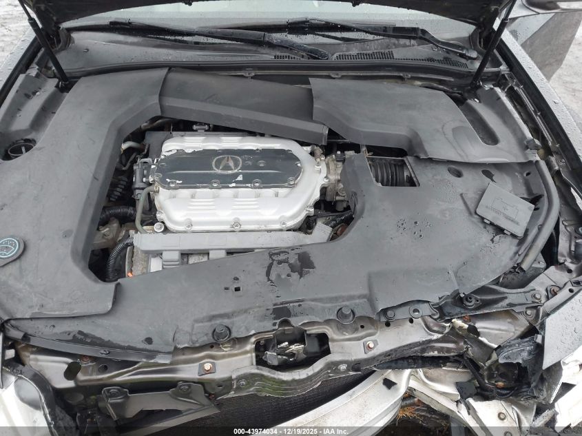 2009 Acura Tl 3.5 VIN: 19UUA86599A017985 Lot: 43974034
