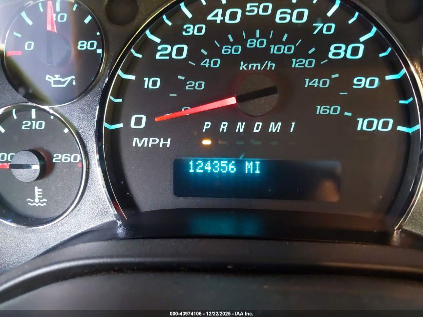 2010 Chevrolet Express 2500 Work Van VIN: 1GCZGFBA9A1173989 Lot: 43974106