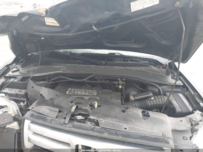 2007 Honda Pilot Ex-L VIN: 5FNYF28647B003677 Lot: 43974325