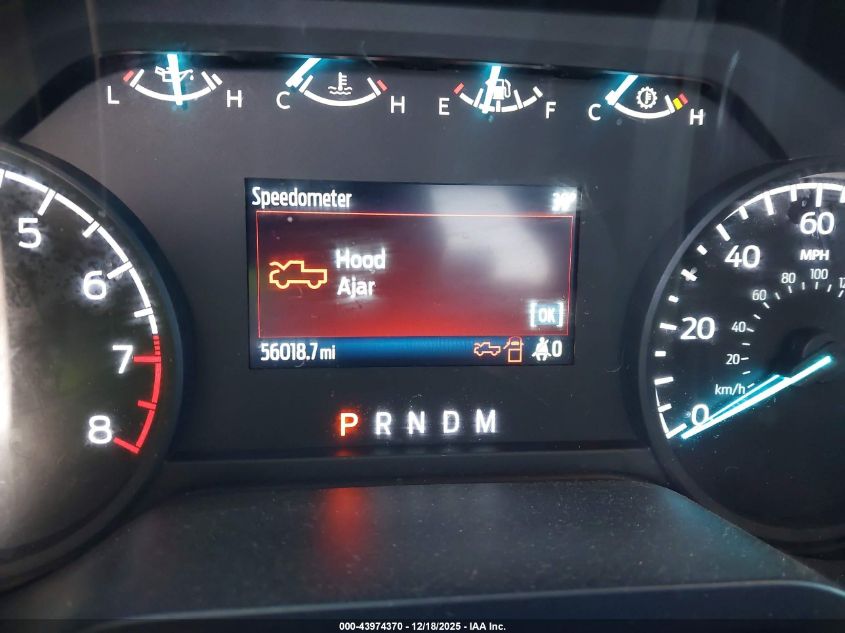 2023 Ford F-150 Xl VIN: 1FTFW1E58PKD24198 Lot: 43974370