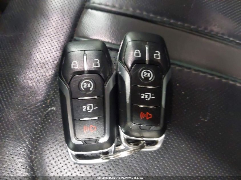 2017 Ford F-150 Platinum VIN: 1FTEW1EG3HFC52530 Lot: 43974575