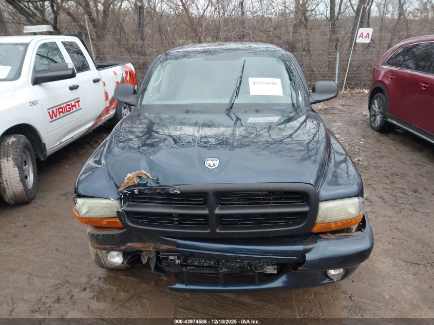 2003 Dodge Dakota Sport/Sxt VIN: 1D7HL38N13S166781 Lot: 43974586