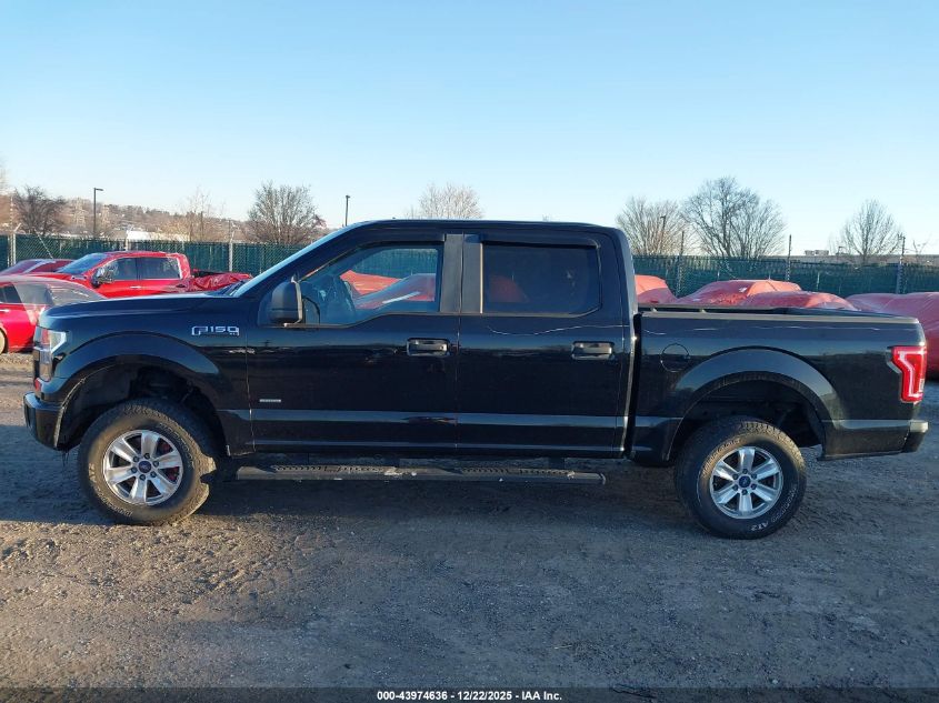 2016 Ford F-150 Xl VIN: 1FTEW1EP8GFA49261 Lot: 43974636