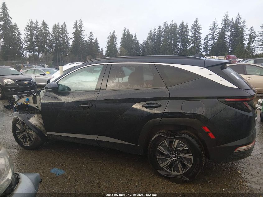 2022 Hyundai Tucson Hybrid Blue VIN: KM8JBCA15NU035992 Lot: 43974897