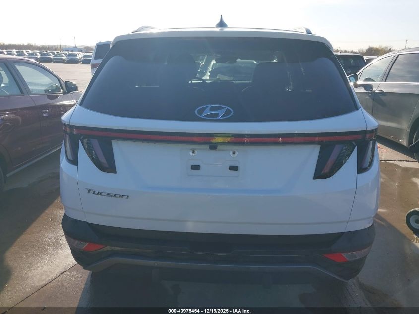 2024 Hyundai Tucson Limited VIN: 5NMJE3DE6RH330204 Lot: 43975454