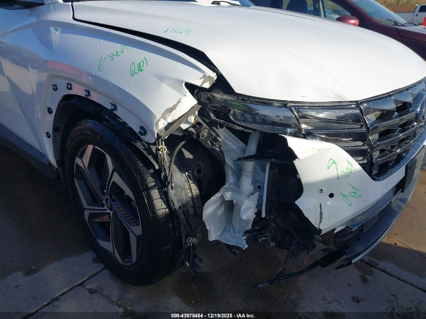 2024 Hyundai Tucson Limited VIN: 5NMJE3DE6RH330204 Lot: 43975454