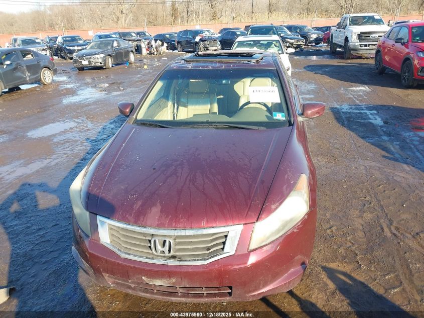 2010 Honda Accord 2.4 Ex-L VIN: 1HGCP2F81AA024497 Lot: 43975560