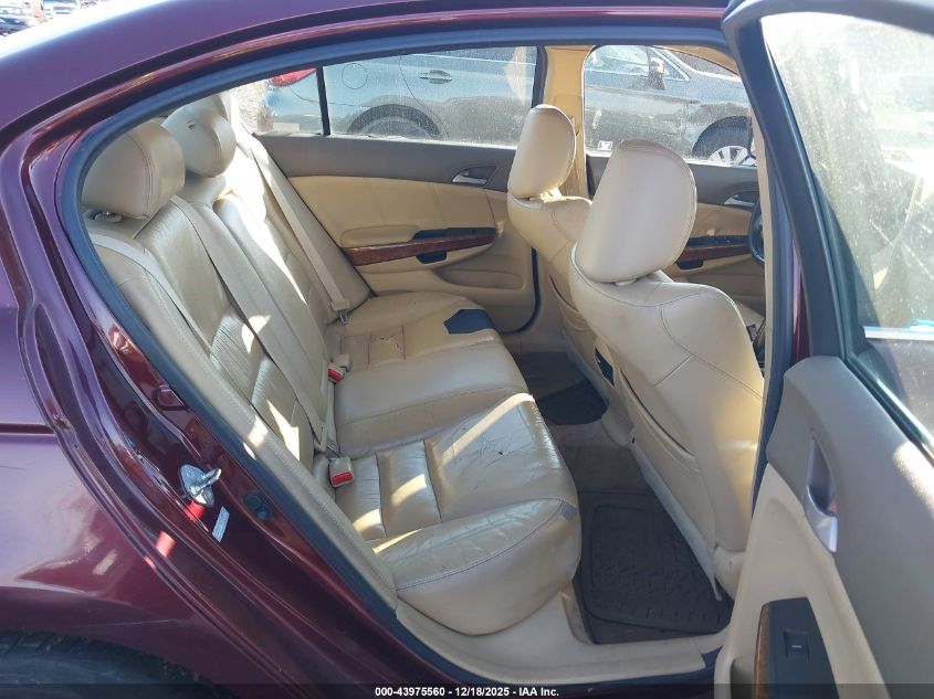 2010 Honda Accord 2.4 Ex-L VIN: 1HGCP2F81AA024497 Lot: 43975560