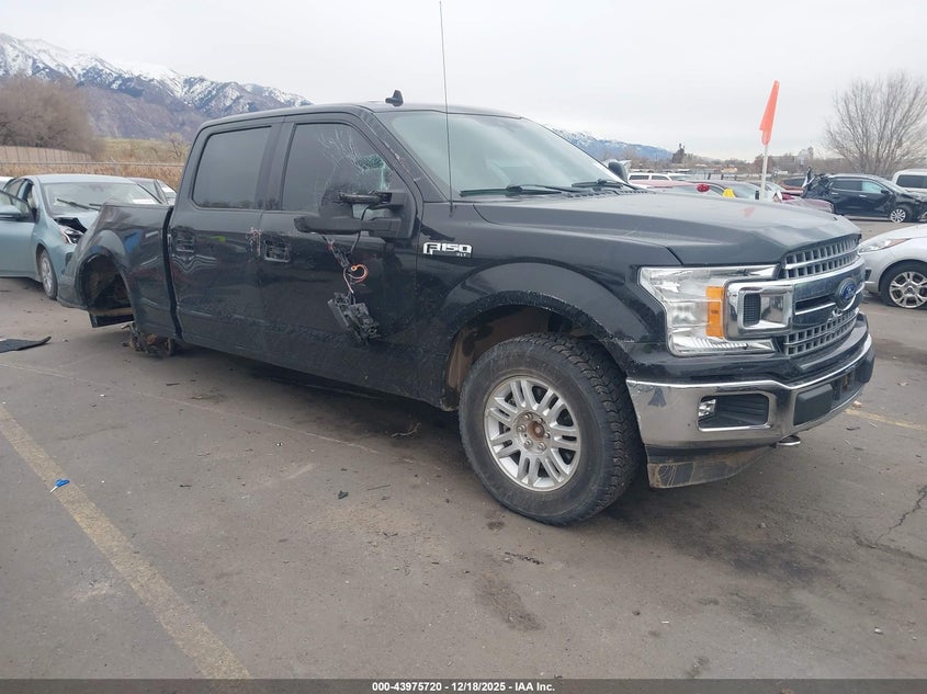 1FTFW1E40LKD44799 2020 Ford F-150 Xlt auction photo 1