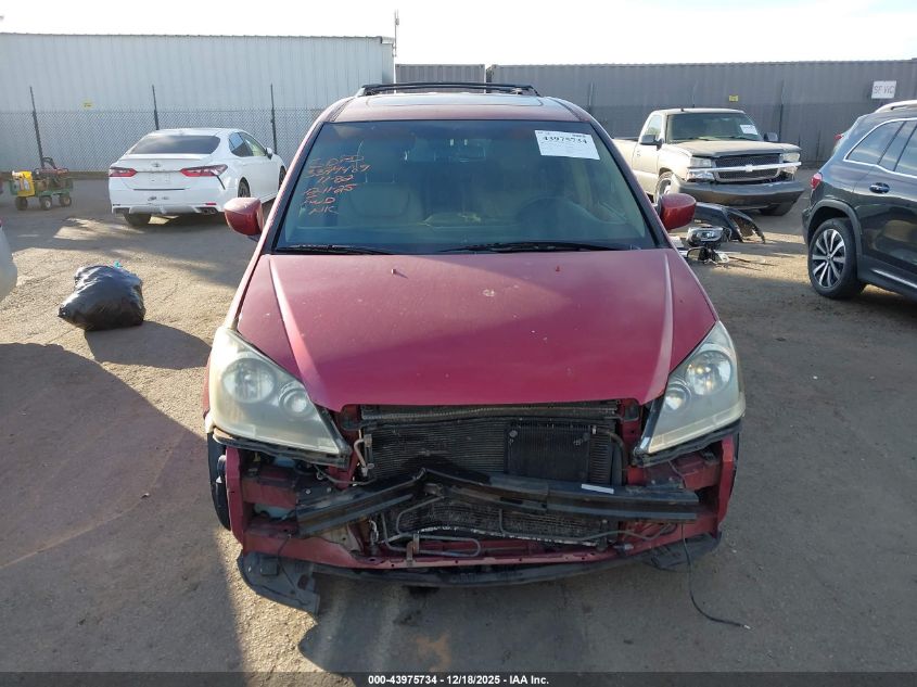 2005 Honda Odyssey Ex-L VIN: 5FNRL38705B036183 Lot: 43975734