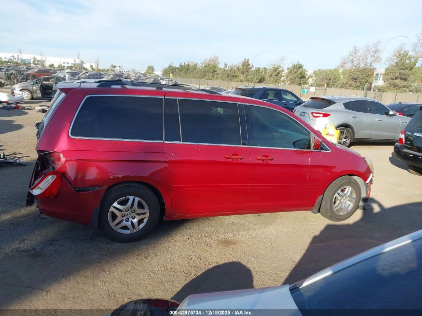 2005 Honda Odyssey Ex-L VIN: 5FNRL38705B036183 Lot: 43975734