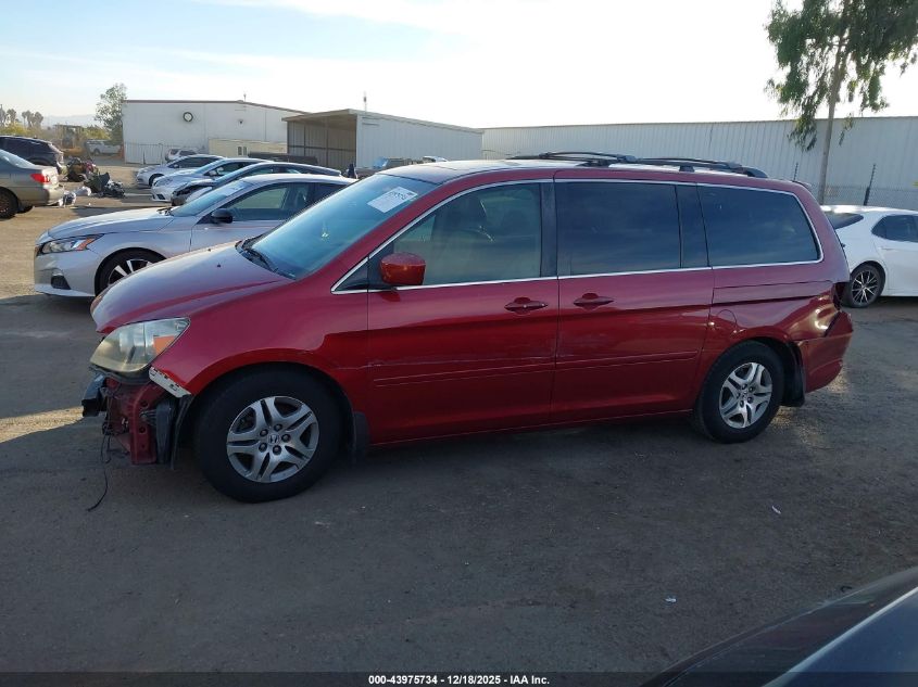 2005 Honda Odyssey Ex-L VIN: 5FNRL38705B036183 Lot: 43975734