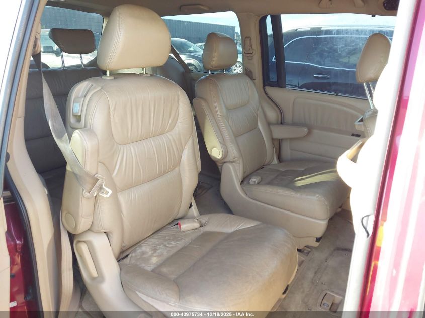 2005 Honda Odyssey Ex-L VIN: 5FNRL38705B036183 Lot: 43975734