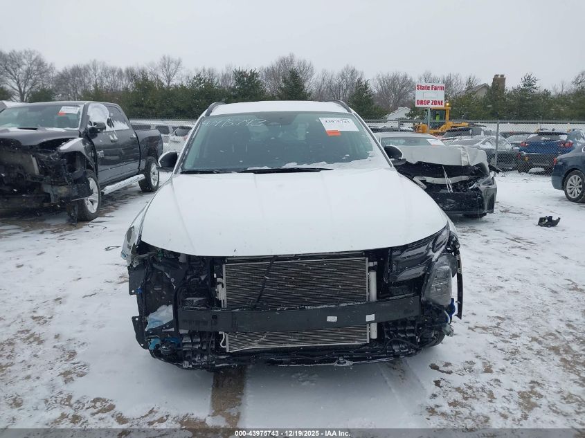 2025 Hyundai Tucson Sel VIN: 3KMJBCDEXSE003081 Lot: 43975743